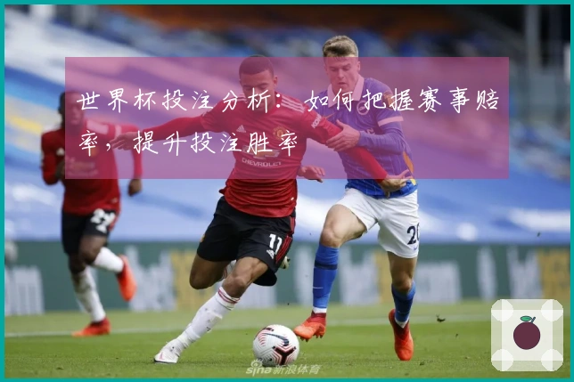 世界杯投注分析：如何把握赛事赔率，提升投注胜率