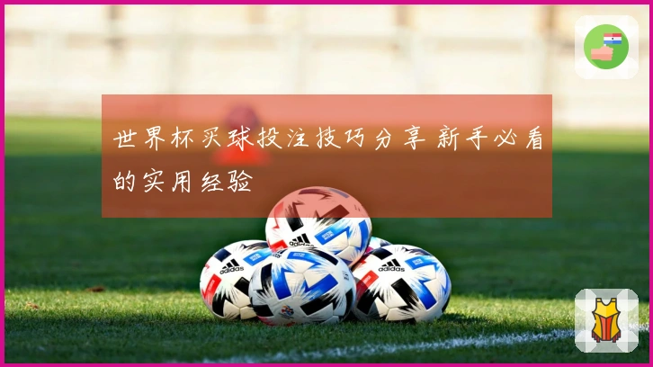 世界杯买球投注技巧分享 新手必看的实用经验