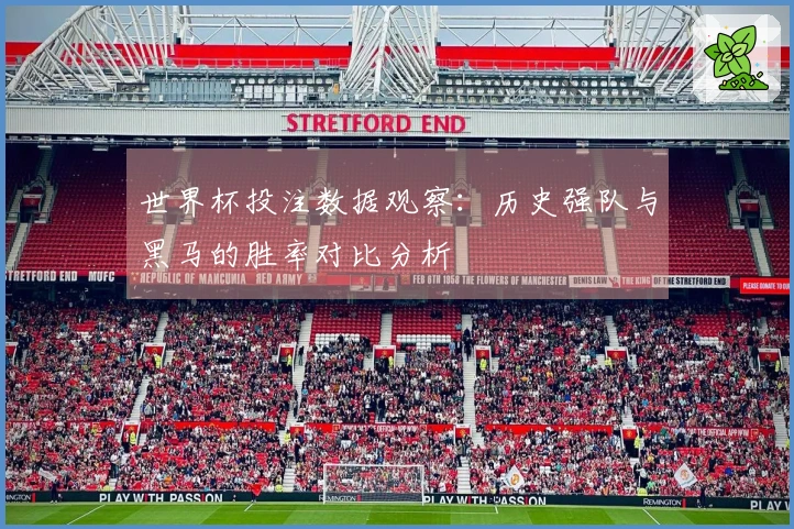 世界杯投注数据观察：历史强队与黑马的胜率对比分析