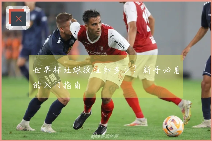 世界杯让球投注知多少？新手必看的入门指南