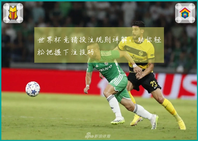 世界杯竞猜投注规则详解，助你轻松把握下注技巧