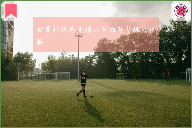 世界杯滚球竞猜入口推荐与玩法详解