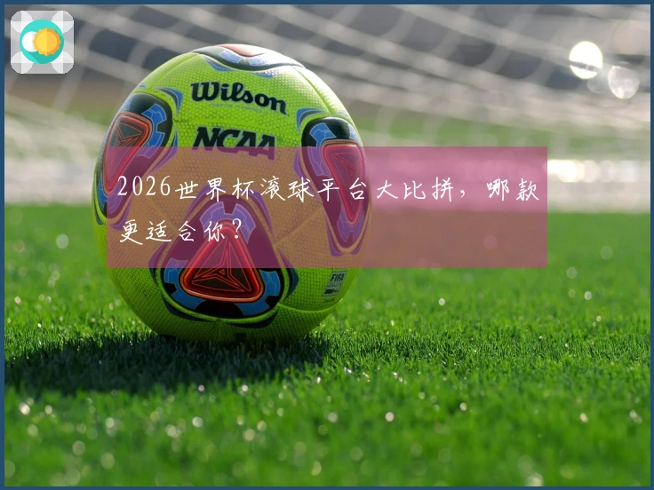 2026世界杯滚球平台大比拼，哪款更适合你？