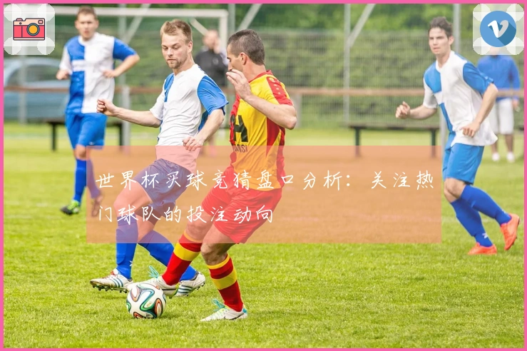 世界杯买球竞猜盘口分析：关注热门球队的投注动向