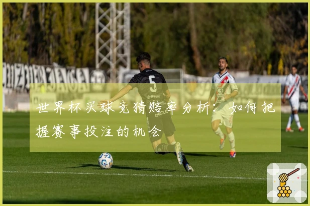 世界杯买球竞猜赔率分析：如何把握赛事投注的机会