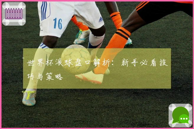 世界杯滚球盘口解析：新手必看技巧与策略