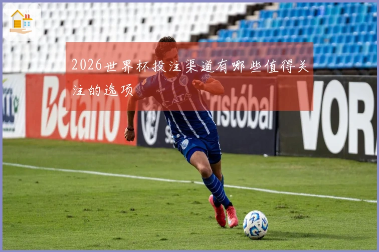 2026世界杯投注渠道有哪些值得关注的选项