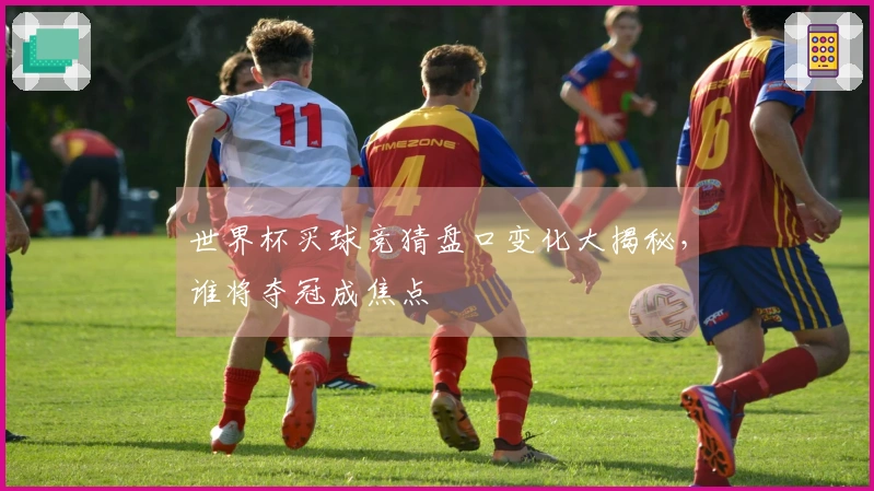 世界杯买球竞猜盘口变化大揭秘，谁将夺冠成焦点