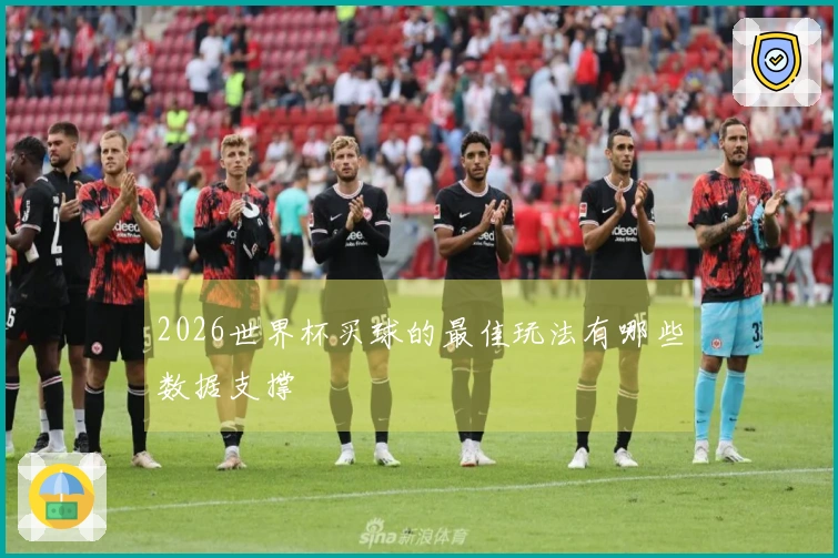 2026世界杯买球的最佳玩法有哪些数据支撑