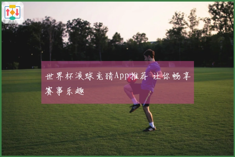 世界杯滚球竞猜App推荐 让你畅享赛事乐趣