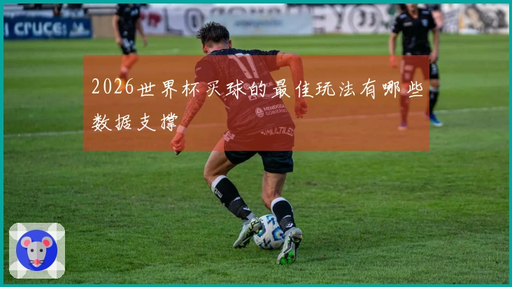 2026世界杯买球的最佳玩法有哪些数据支撑