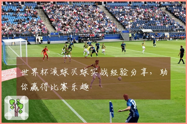 世界杯滚球买球实战经验分享，助你赢得比赛乐趣