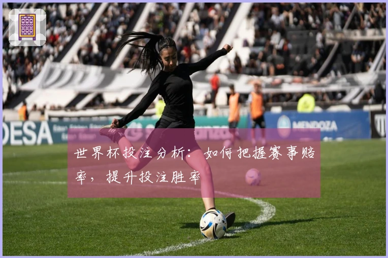 世界杯投注分析：如何把握赛事赔率，提升投注胜率