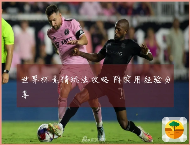 世界杯竞猜玩法攻略 附实用经验分享