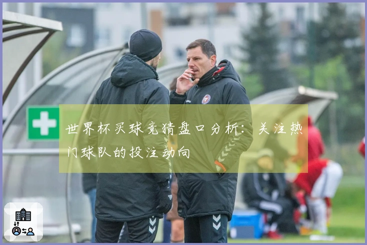世界杯买球竞猜盘口分析：关注热门球队的投注动向