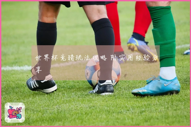 世界杯竞猜玩法攻略 附实用经验分享