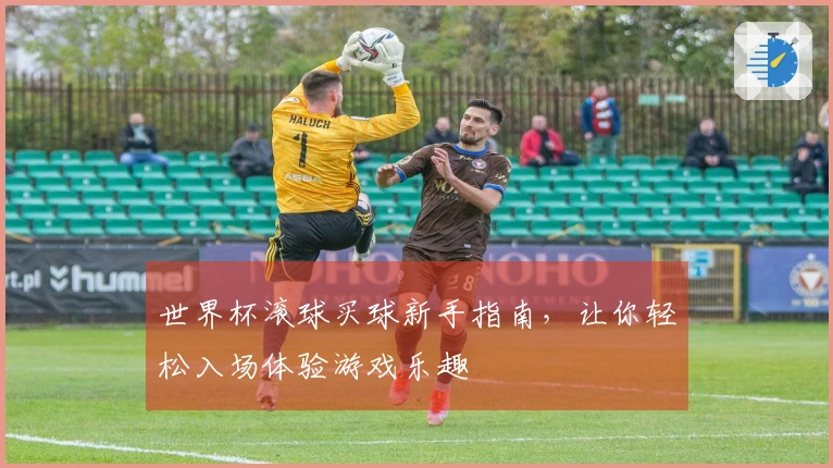 世界杯滚球买球新手指南，让你轻松入场体验游戏乐趣
