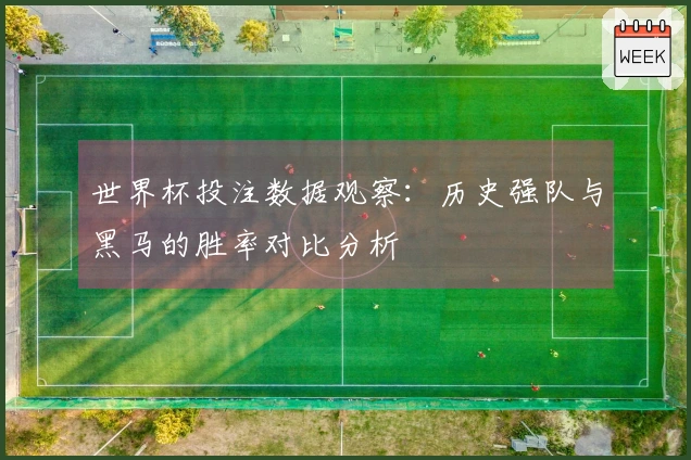 世界杯投注数据观察：历史强队与黑马的胜率对比分析
